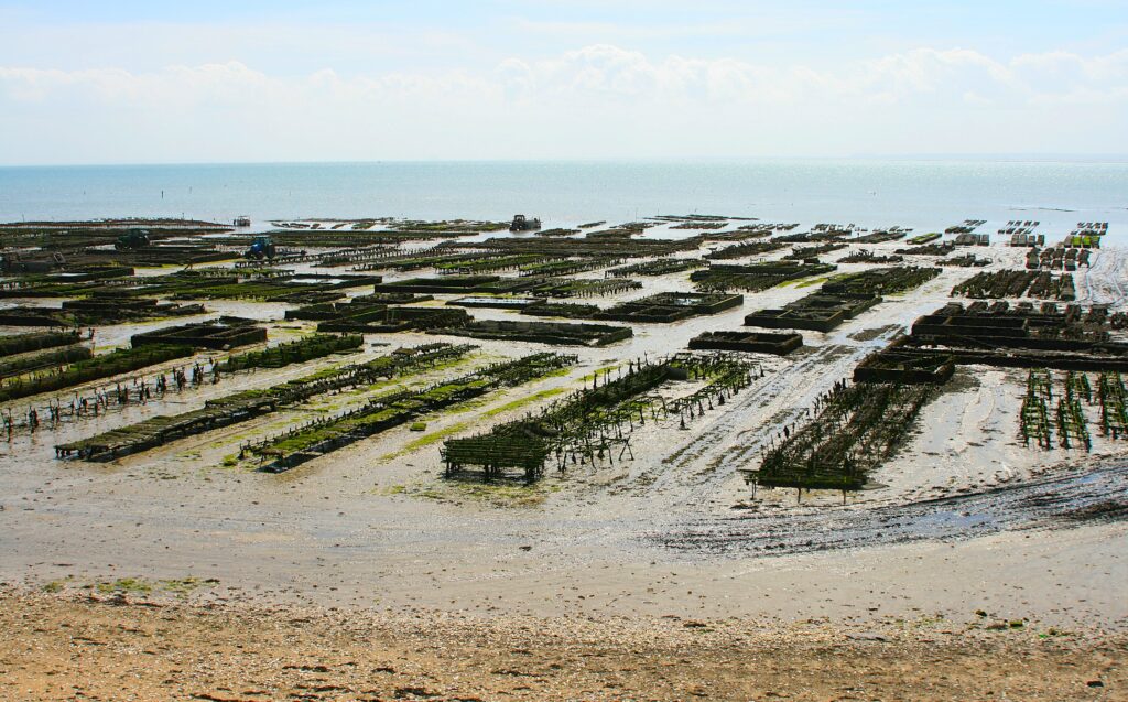 Północna Francja Bretania